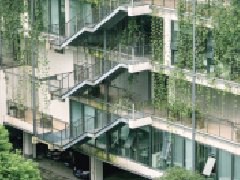 九三学社：开展城市立体绿化 拓宽绿色空间