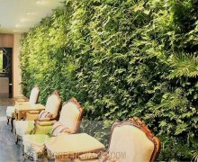 青城园林植物墙经典案例10