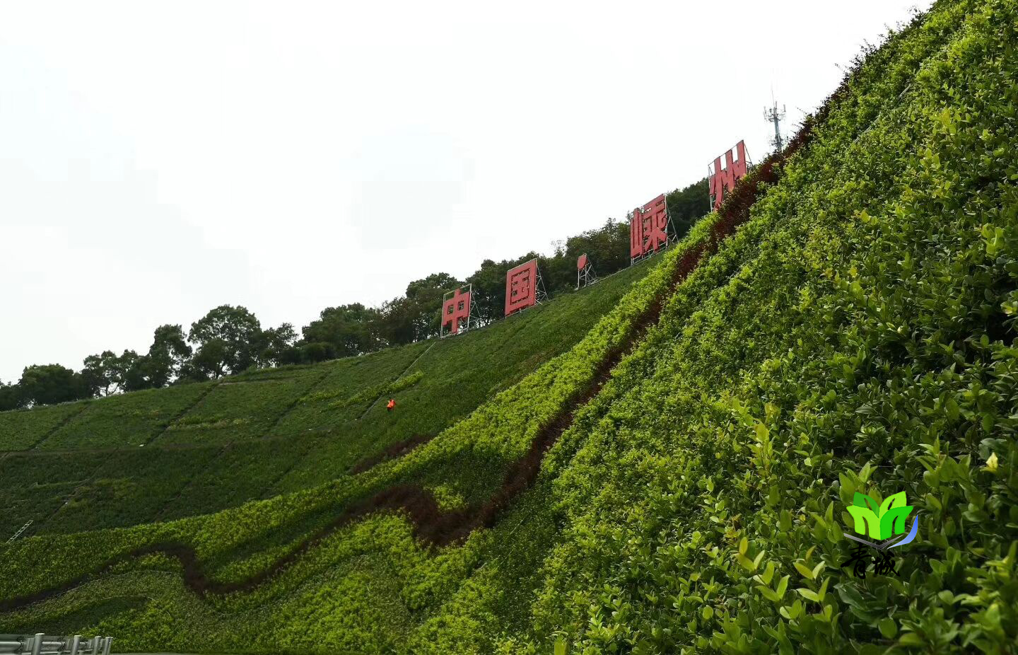 中国绍兴嵊州边坡绿植墙