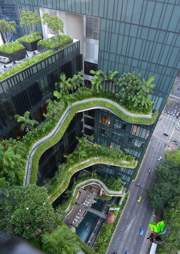 垂直绿化以及立体绿化占据国内城市生态环境市