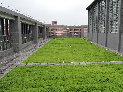 31名专家齐聚昆明 掀立体绿化“头脑风暴＂