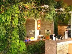 将屋顶绿化纳入园林绿化建设管理 绿化和防霾“