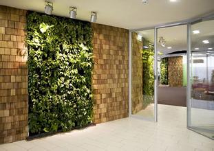 室内装修设计植物墙的好处