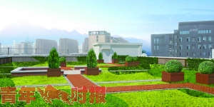 石桥街道要新增一个“空中绿洲”