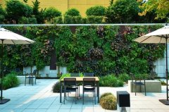 垂直立体​绿化植物墙设计布局的原则