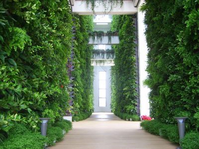 垂直植物墙