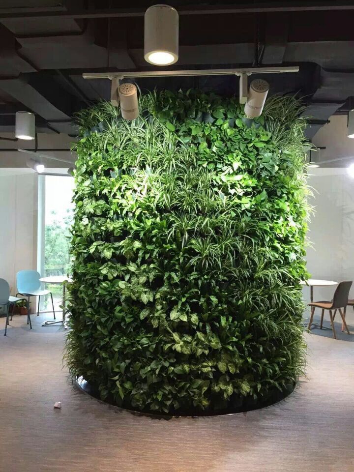 浦东新区垂直绿化墙公司