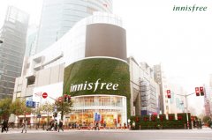 innisfree悦诗风吟上海旗舰店 绿植墙