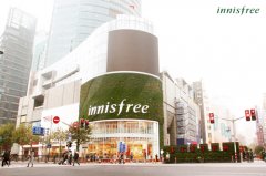 innisfree悦诗风吟上海旗舰店 绿植墙